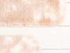 Damien 2'li Banyo Paspası - Beyaz/Pudra 60x100+50x60 cm